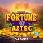 Fortune of Aztec screenshot